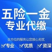 实施稳定就业的政策你知道是什么吗？